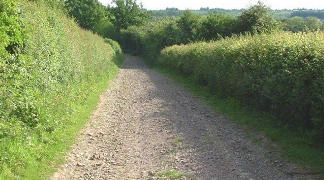 On the Jurassic Way long distance pathway from Banbury to Stamford. On the Jurassic Way section near Warkworth (further down the hill), in Northamptonshire.