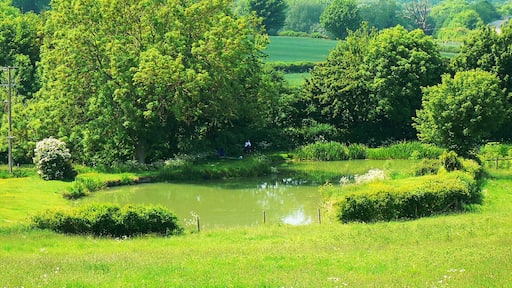 Fishpond near Aynho
