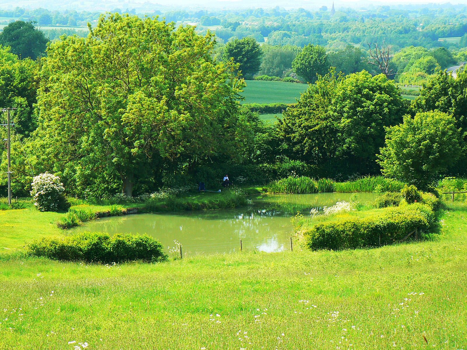 A lush green landscape with a pond, trees, and a distant church spire.
