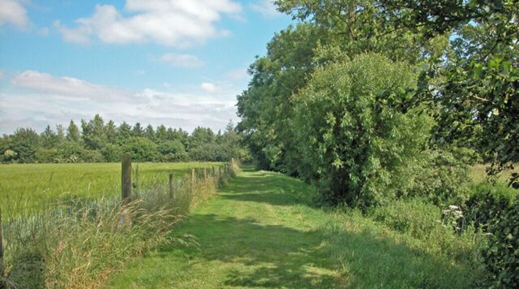 Brook side walk Shady walk along the Sor Brook at Bo-peep caravan site.