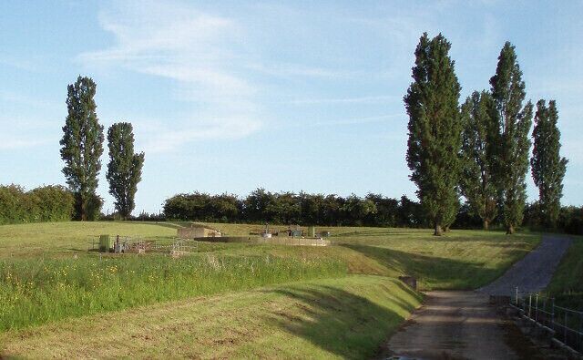 A rural landscape with a dirt path, tall trees, and a grassy field.