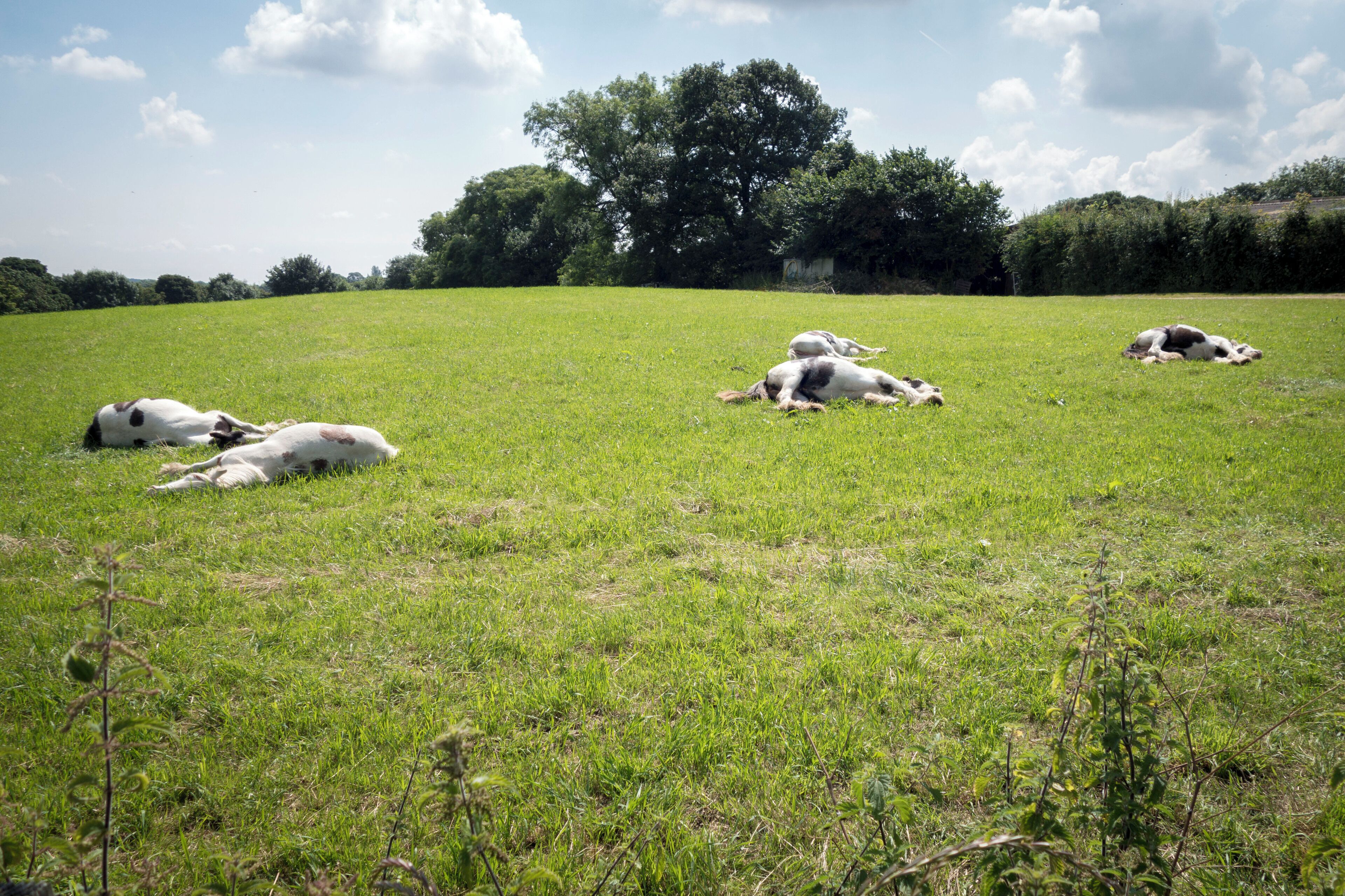 Street life Life in the north