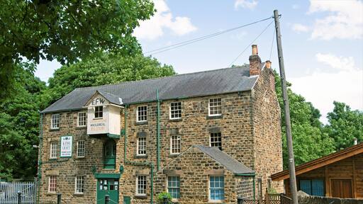 A stone building with a green door and windows, labeled 'EFW Stoneground Wholemeal Flour.'
