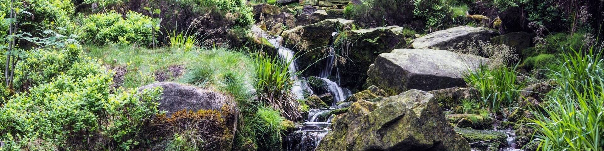 Just before you get to the waterfall be sure to capture a few different compositions!!
#bvsquad #rocks #water #waterfall #peakdistrict #moss #nikon #d7200 #landscape #landscapephotography