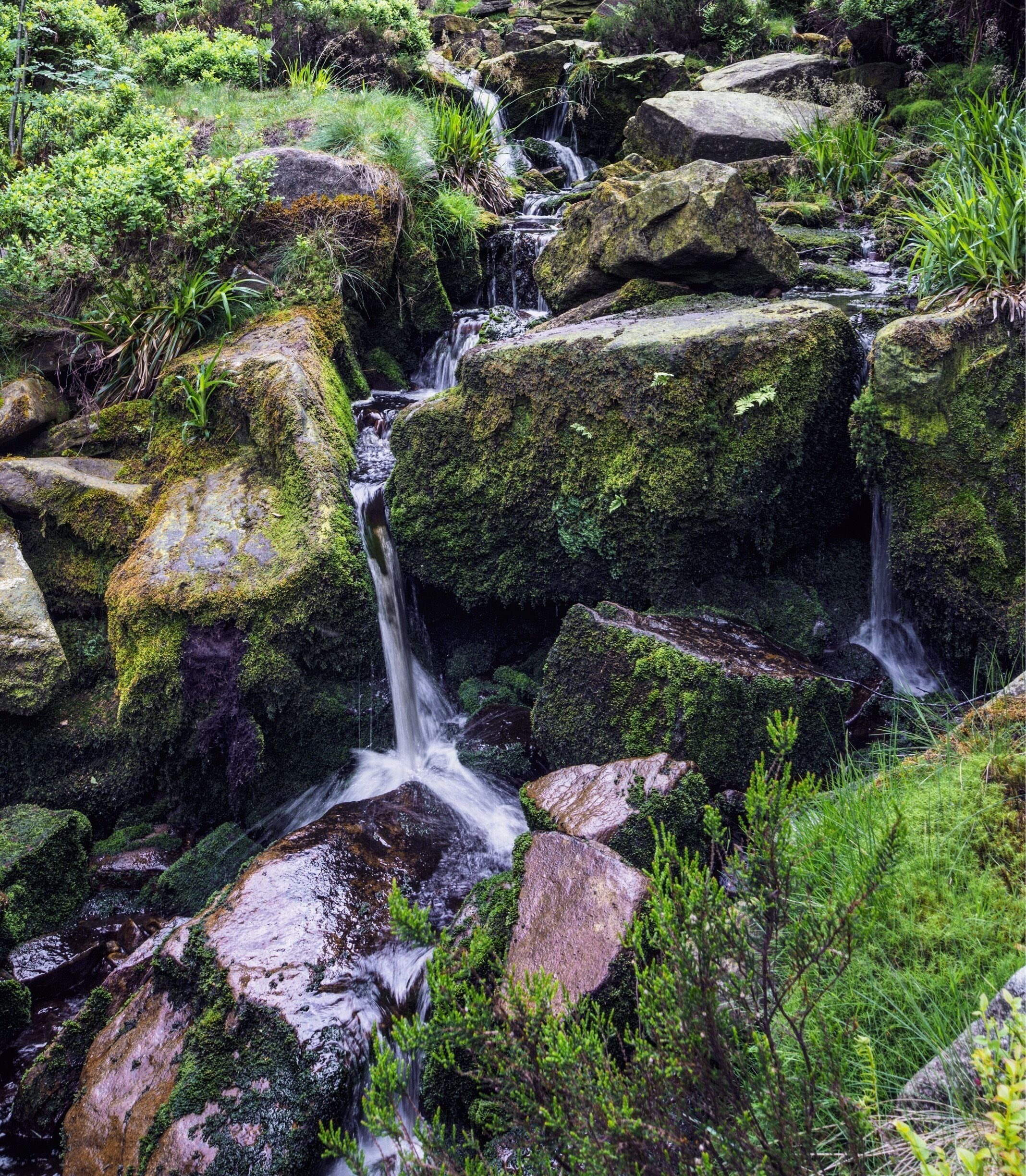 A waterfall cascading over moss-covered rocks in a lush, green forest.