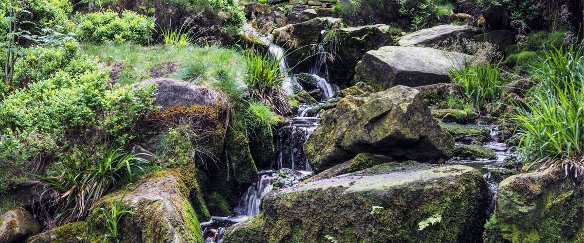 A waterfall cascading over moss-covered rocks in a lush, green forest.
