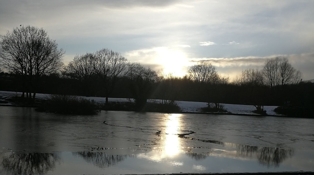 The sun over the pond in Dearne Valley park on a snowy afternoon