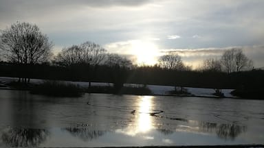 The sun over the pond in Dearne Valley park on a snowy afternoon