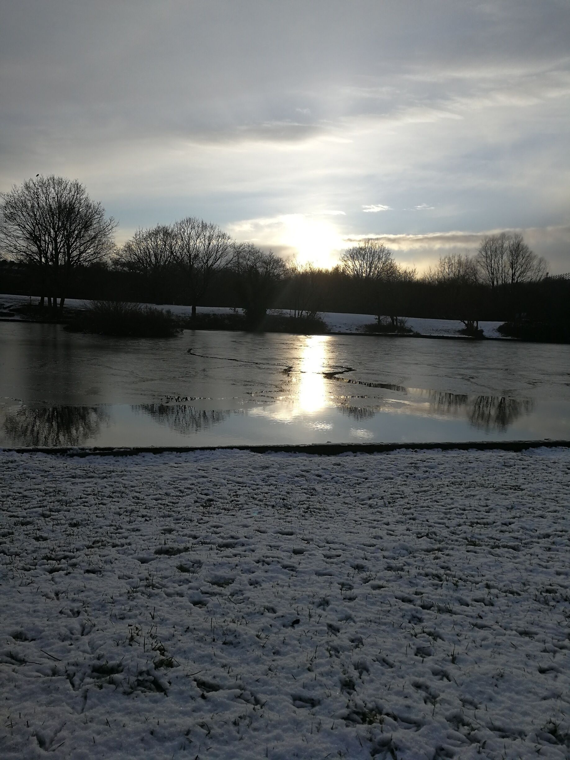 A frozen lake with bare trees silhouetted against a cloudy sky.