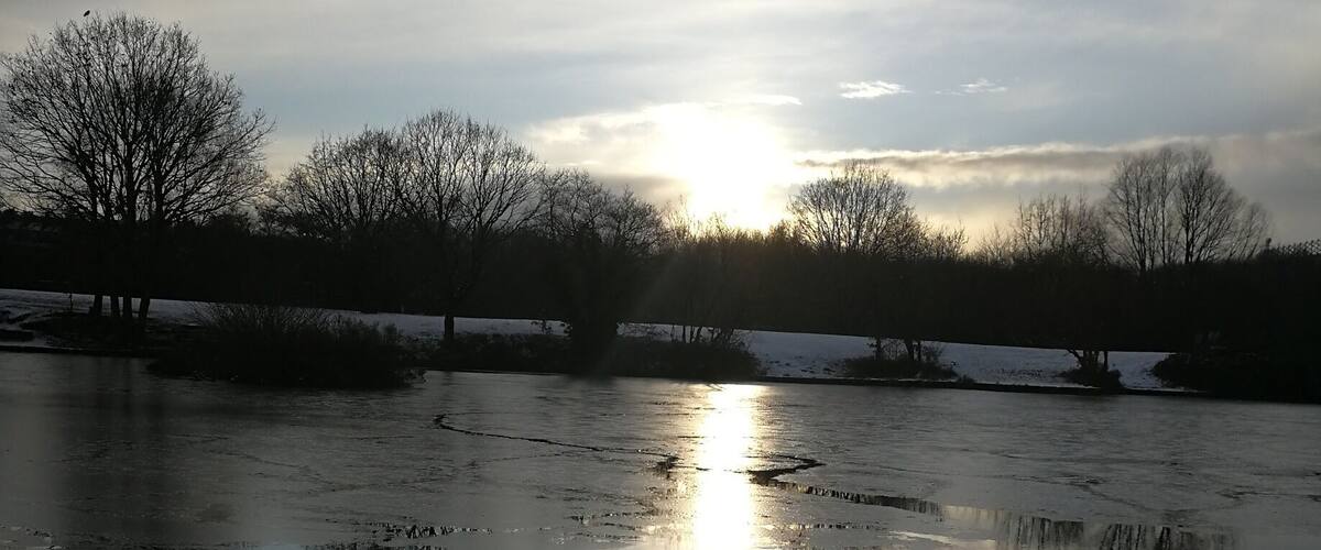 A frozen lake with bare trees silhouetted against a cloudy sky.