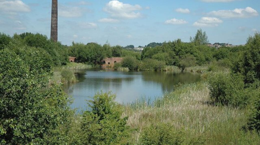 Park Hill Brick Works Taken from the Trans Pennine Trail, The former brick works are now managed as a nature reserve.