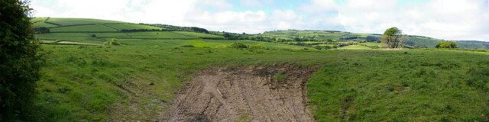 Minniemoor View Composite of three images looking easterly across the square from a gateway on Minniemoor Lane hence the tracks in the foreground. The A399 skirts around the hill (Kentisbury Down) to the left.