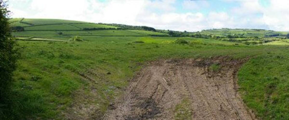 A muddy field with a large pothole.