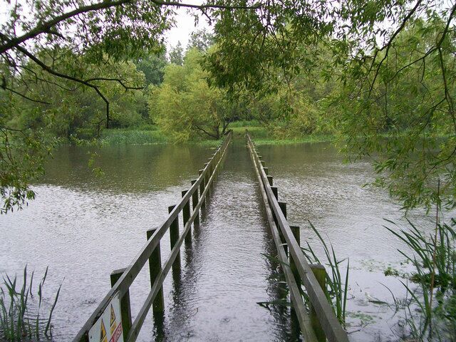 The Bridge The nearby stream overflowed into the lake after Heavy rain