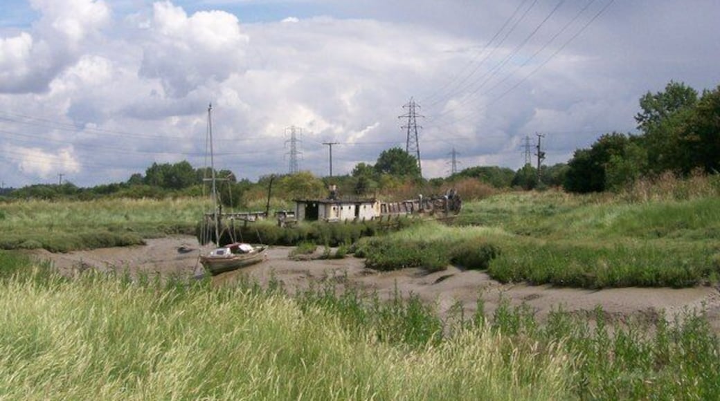 Nature taking over Two derelict boats that are gradually being taken over by the salt marsh plants