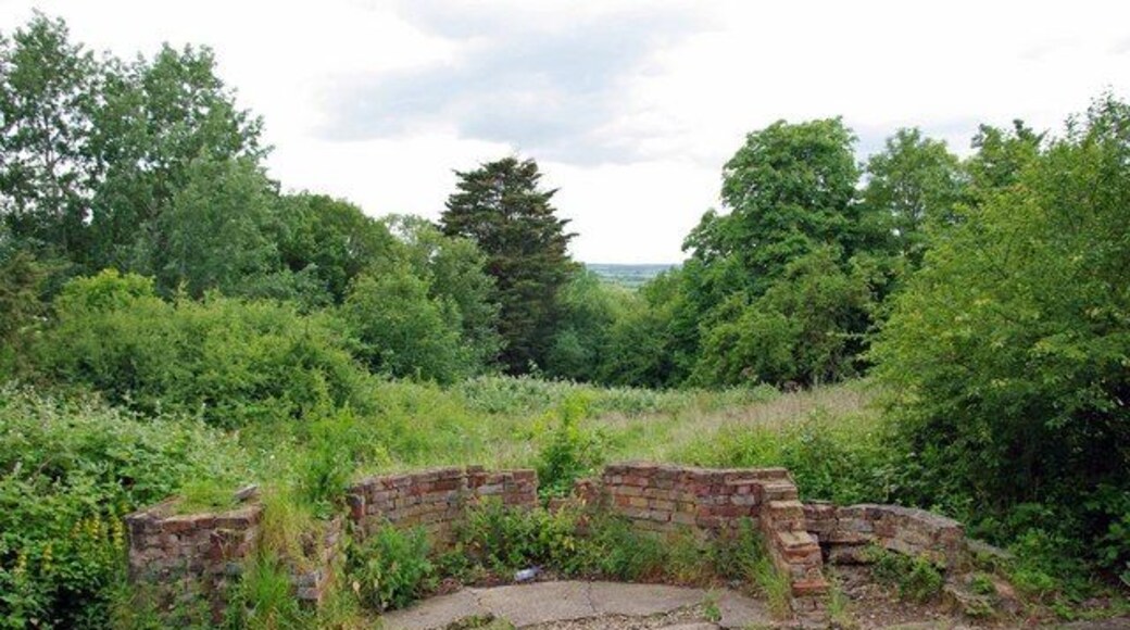Ruined Hawthorn in Dunton Plotlands. This is the ruin of "Hawthorn" which was one of the Dunton Plotland dwellings. You can see the last survivor of them at 1375111. For more info see http://www.basildon.com/history/dunton/plotland.html the whole area is now in the care of Essex Wildlife Trust see http://www.essexwt.org.uk/visitor_centres__nature_reserves/langdon/ Continue on a virtual tour of Wildlife Trust Reserves in Essex by visiting 425472