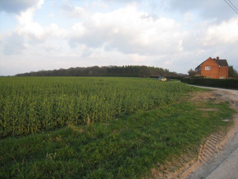 Breach Cottages & Jeffery's Copse