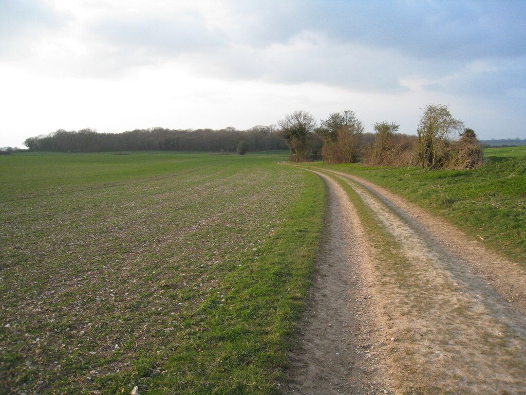 Track & Jeffery's Copse This is the current western limit of Basingstoke. The relatively new houses in Kempshott are a short distance to the east of here. The field to the left is known as 'Great Wildcroft' and is 20.5 acres in area.