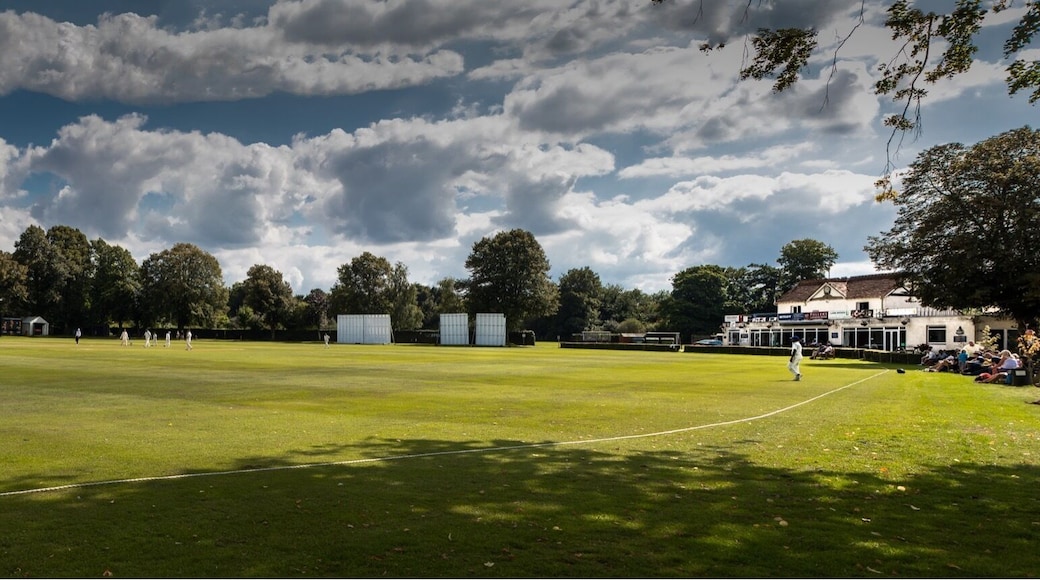 Basingstoke's Mays Bounty cricket ground.