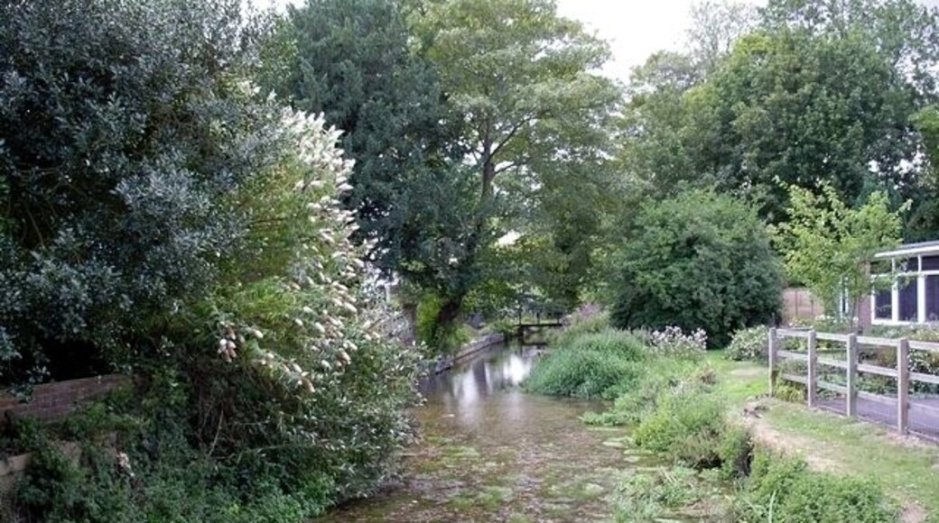 River Test, Overton. A young River test flows west after passing under a mill and Kingsclere Road.