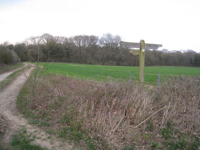Weathered sign post On the path between Basingstoke and Oakley. The field beyond the sign is known as 'Little Wildcroft'.