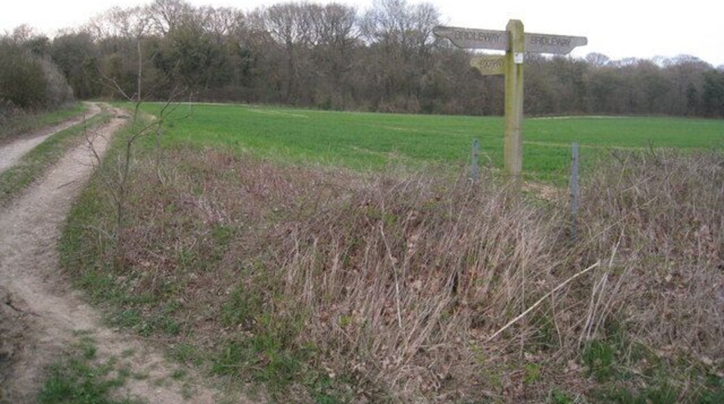 Weathered sign post On the path between Basingstoke and Oakley. The field beyond the sign is known as 'Little Wildcroft'.