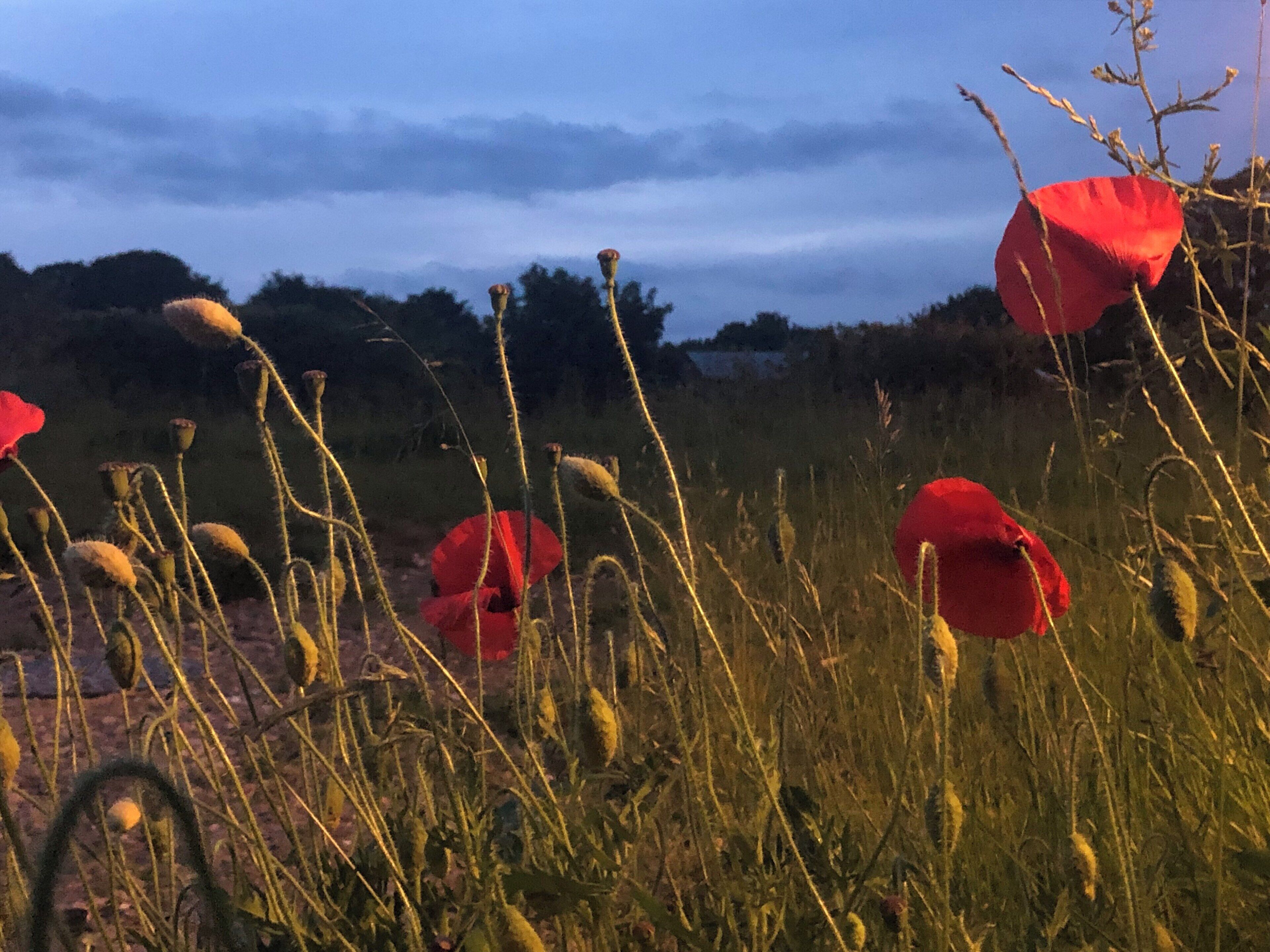 Close to the church.