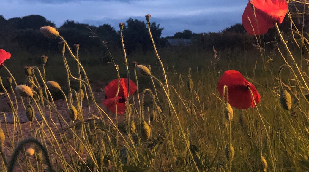 Close to the church.