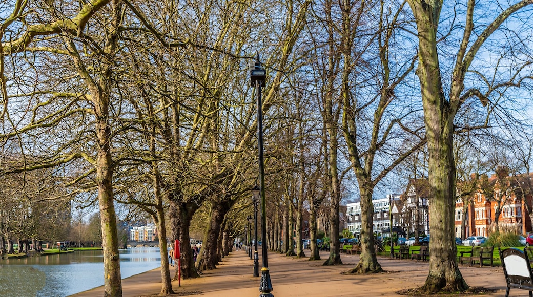 Bedford