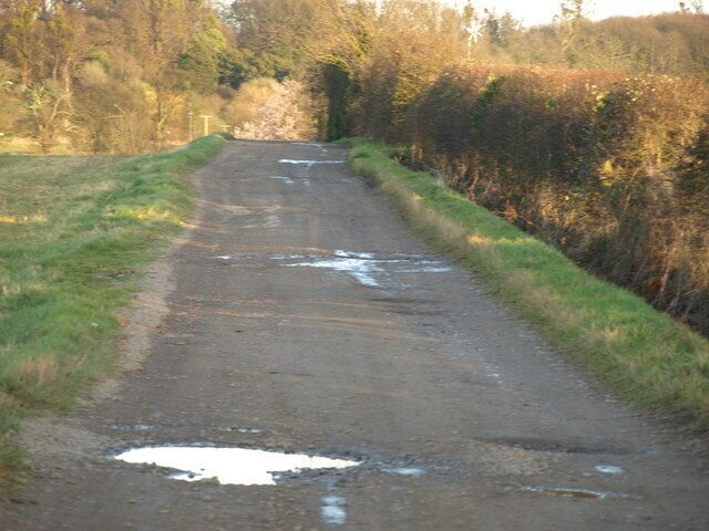 Track and Hedgerow Looking back towards Ampthill Park House.