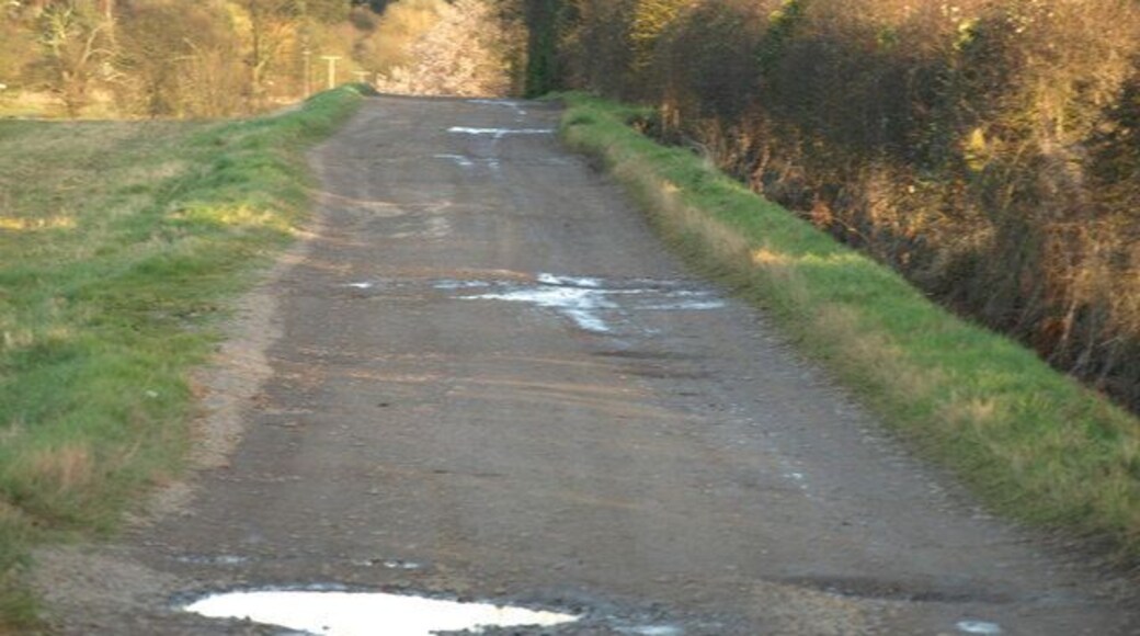 Track and Hedgerow Looking back towards Ampthill Park House.
