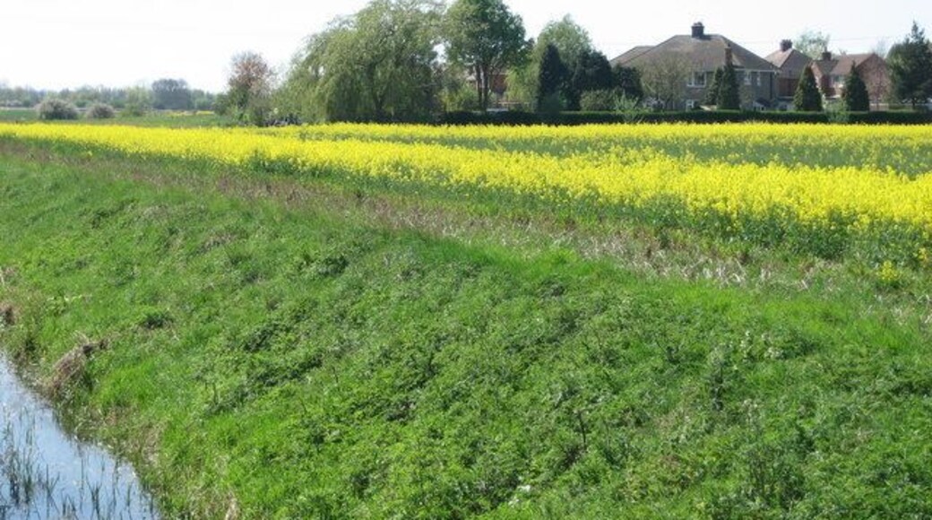 Housing at Elstow Housing in Elstow as photographed from the "John Bunyan Trail"