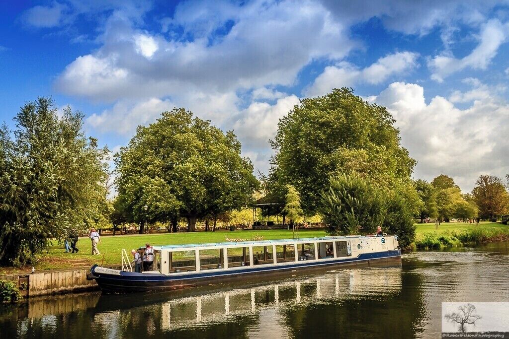A riverboat docked at a park with lush trees and a clear sky.
