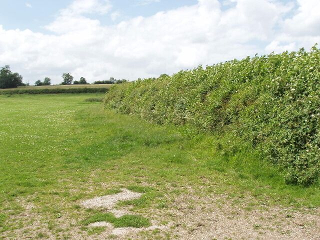 Pasture and hedge, Hall End of Wootton A footpath runs up beside the hedge.