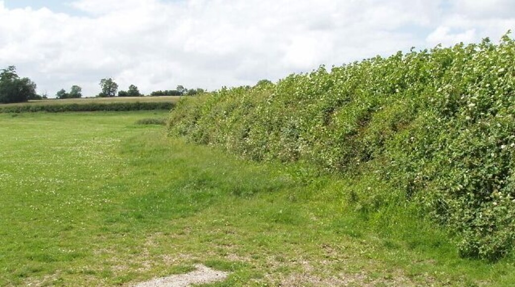 Pasture and hedge, Hall End of Wootton A footpath runs up beside the hedge.