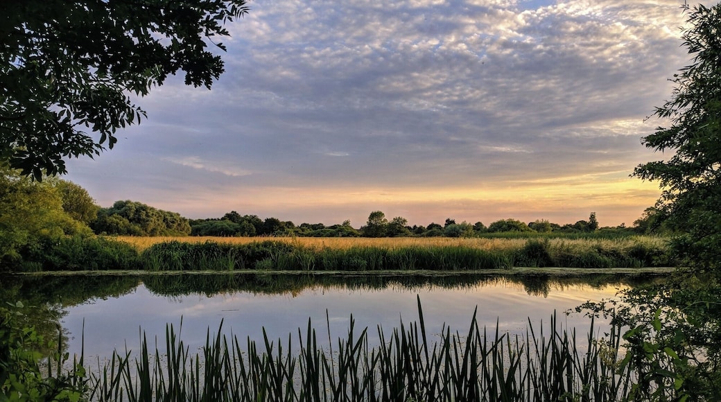 Looking out over Fenlake Meadows from the edge of Priory Country Park.
