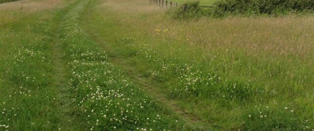 A rural path with a fence, fields, and a small building in the distance.