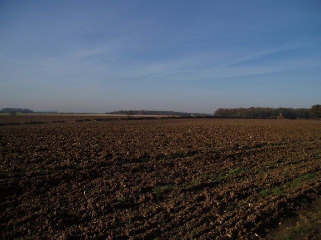 Ploughed field, looking towards Clapham.