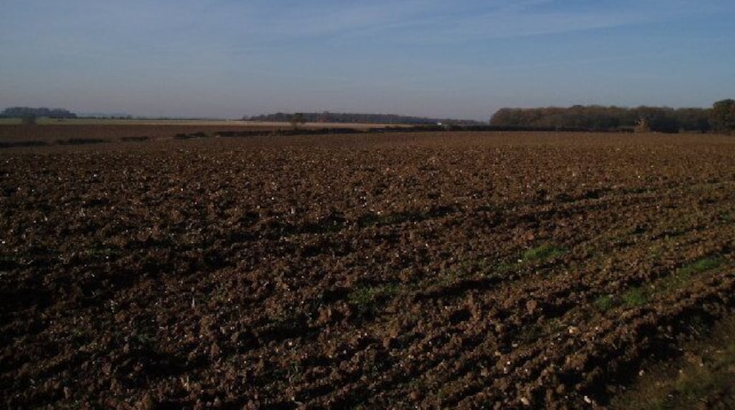 Ploughed field, looking towards Clapham.