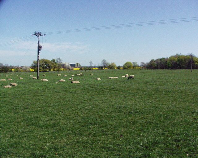 John Bunyan trail. Taken from the John Bunyan trail near Bedford on a glorious spring day.