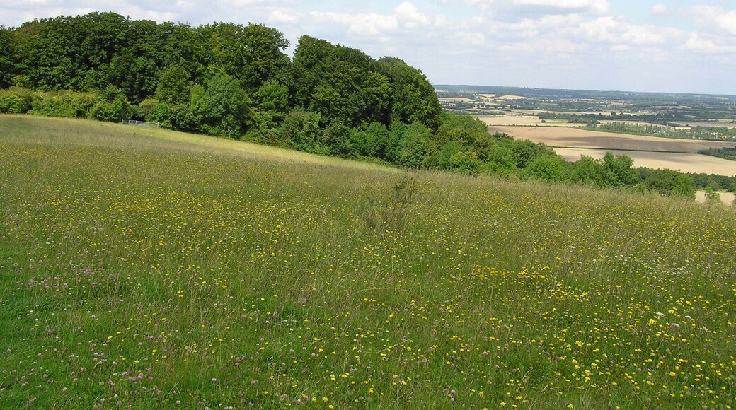 The Clappers across the Downs - August 2009