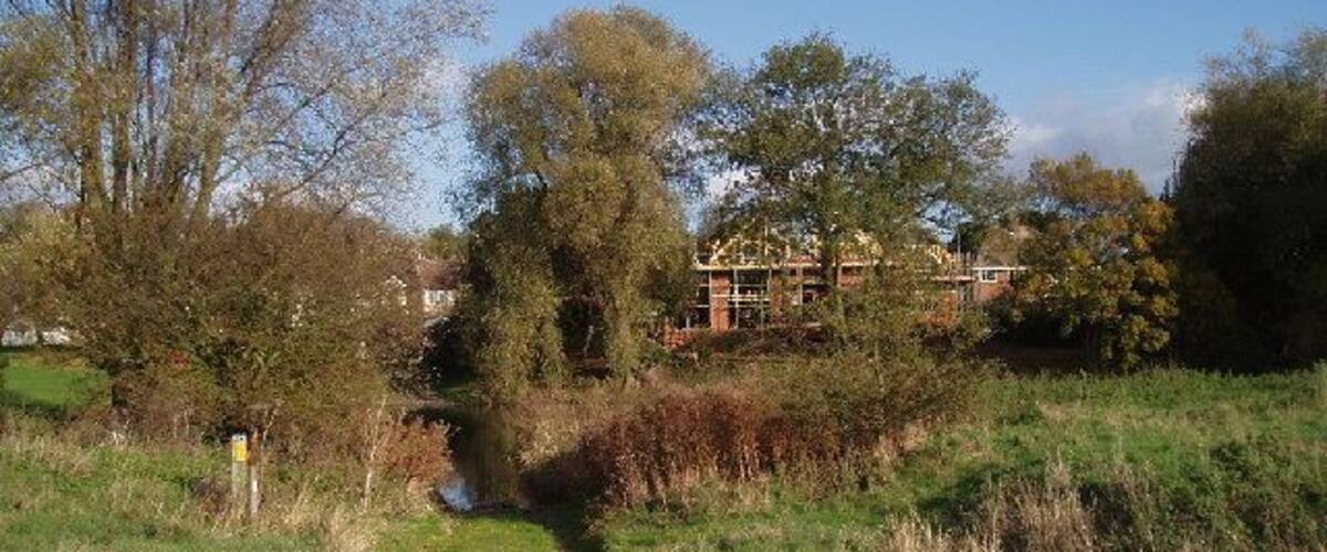 A grassy field with a small stream, trees, and a house in the background.