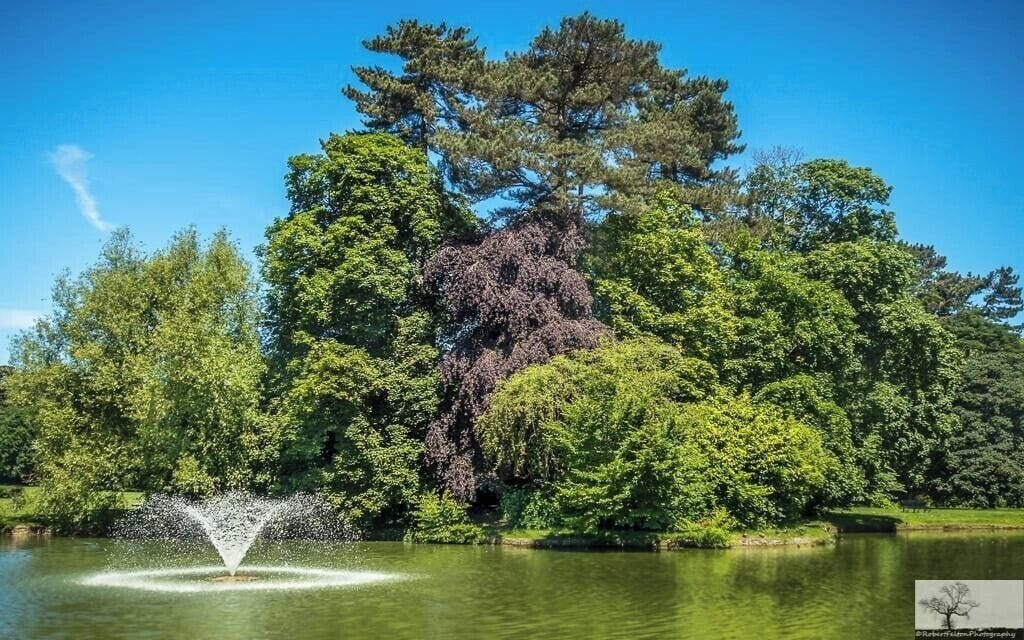 Bedford Park is a large urban park, located in the town of Bedford, Bedfordshire, England
Opened to the public in 1888 the ornamental lake is situated neat to the eastern entrance.


