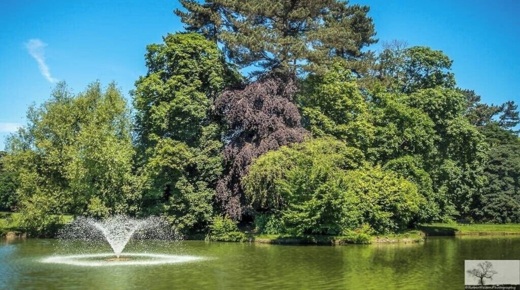 Bedford Park is a large urban park, located in the town of Bedford, Bedfordshire, England
Opened to the public in 1888 the ornamental lake is situated neat to the eastern entrance.
