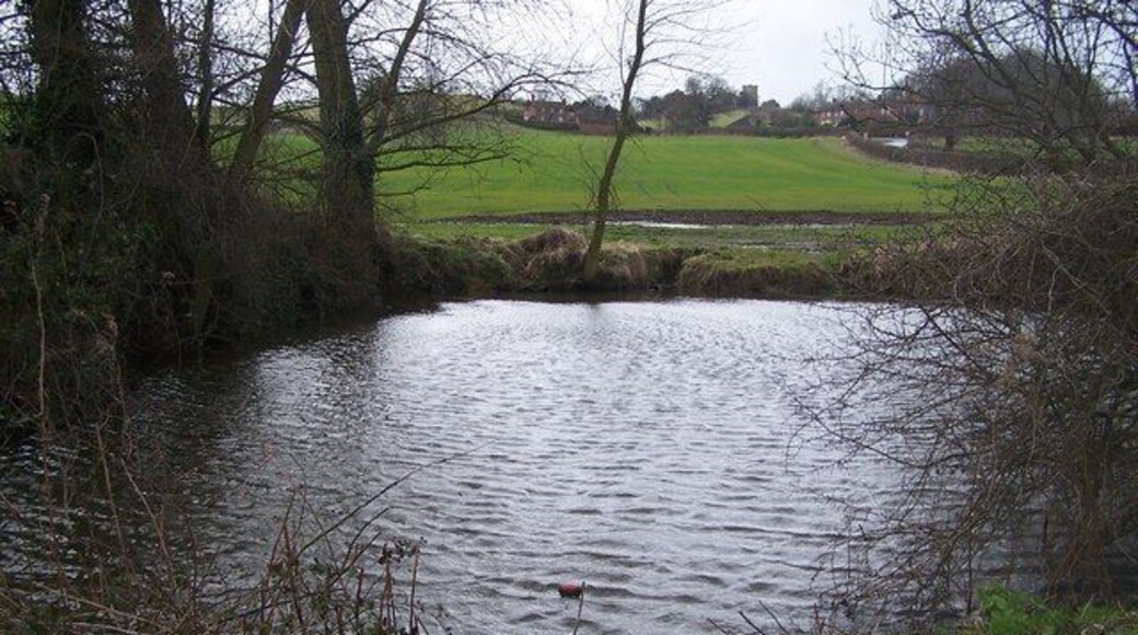 Small Pond Mostly hidden from view by hedges.