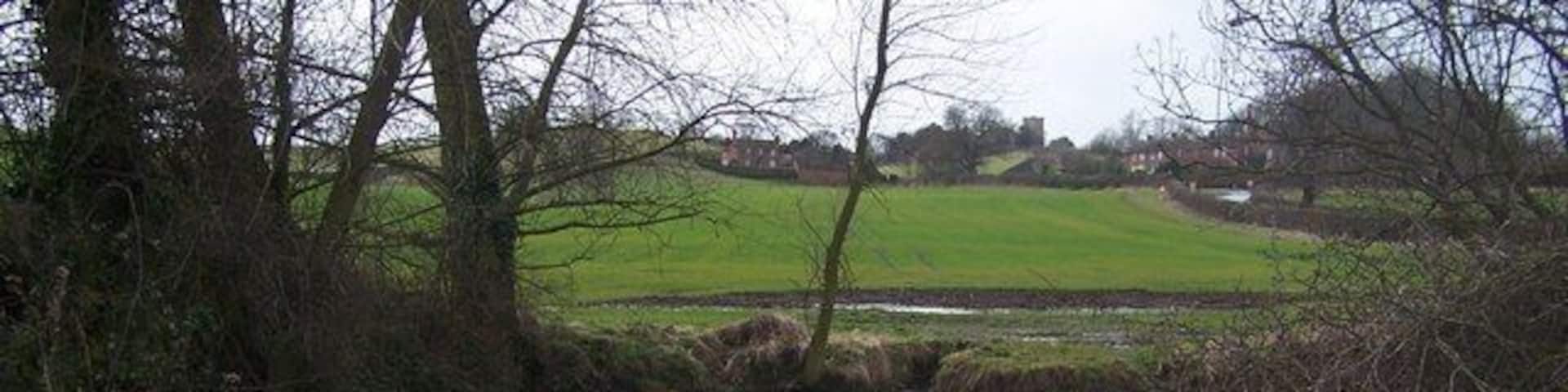 Small Pond Mostly hidden from view by hedges.