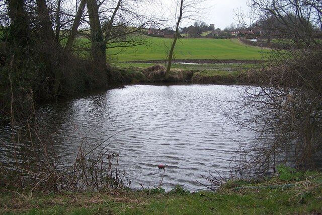 A pond surrounded by trees and grass with a distant view of a field and buildings.