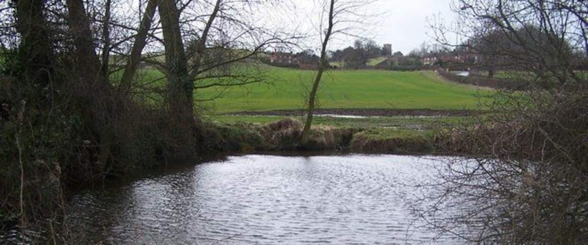A pond surrounded by trees and grass with a distant view of a field and buildings.