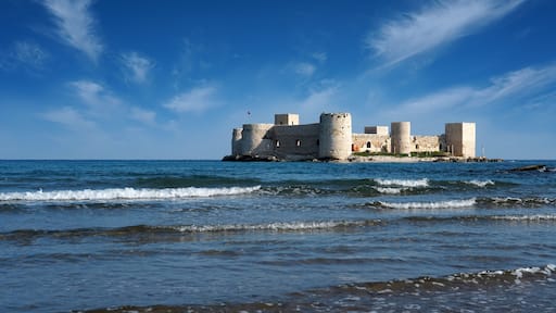 ์ค๋ฆฌํ์ผ