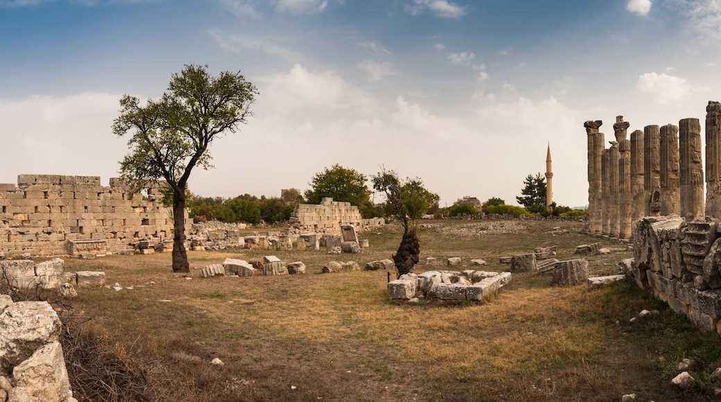 Marble columns of Zeus temple at Uzuncaburc Ancient city panoromic view. Uzuncaburc antique city is in the rural area of Silifke district. Mersin, Turkey